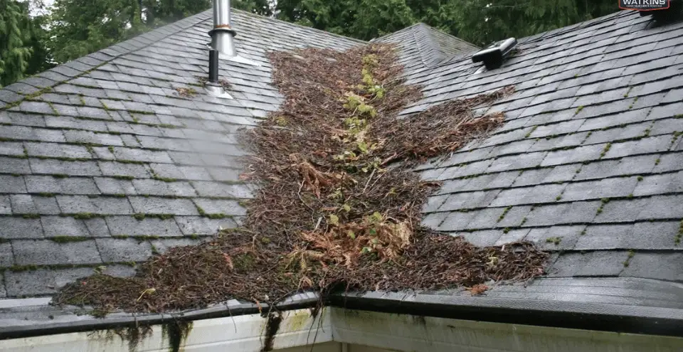 The Big Reasons Why Keeping Your Roof Clear of Debris Is Crucial 1 960x495 1